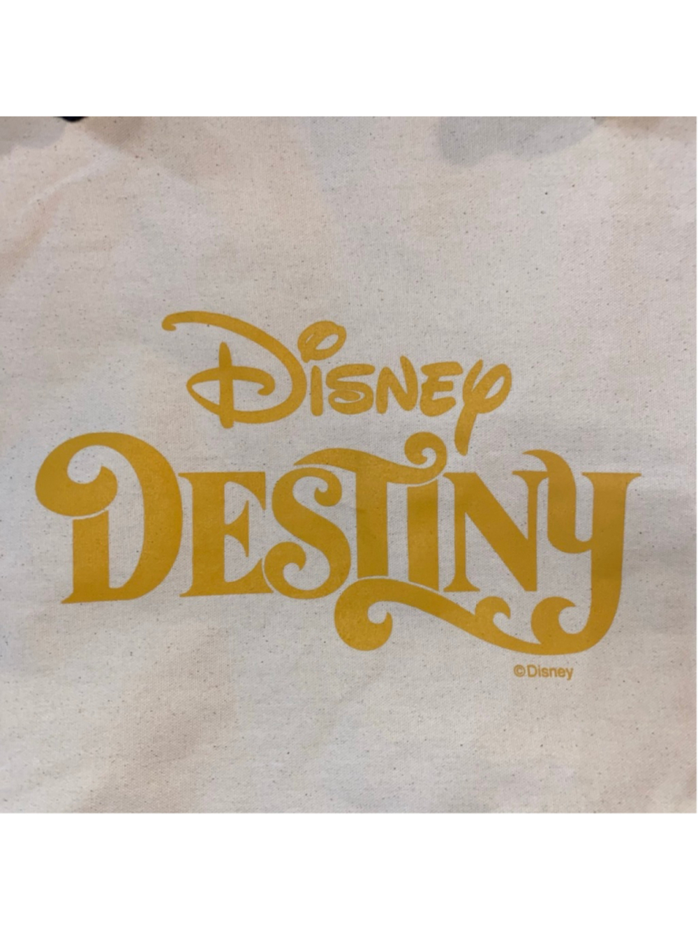 Women's Canvas Disney Destiny Tote Bag with black trim rope handle. 22” - Picture 3 of 4